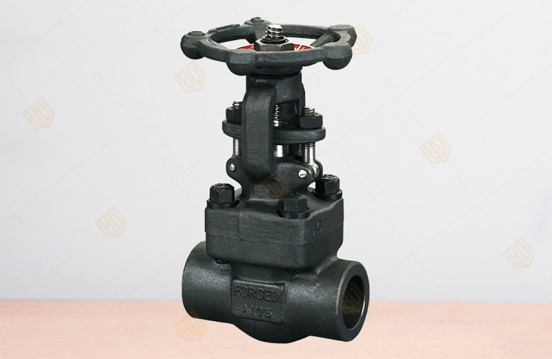 �䓃�(n��i)�ݼy���в庸�l�y 