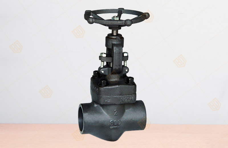  �䓃�(n��i)�ݼy���в庸�ӽ�ֹ�y